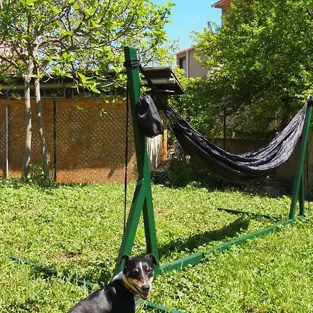 Burkopolis Созопол