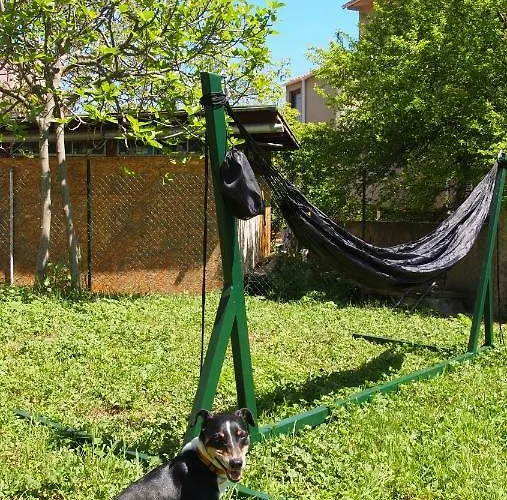 Burkopolis Созопол